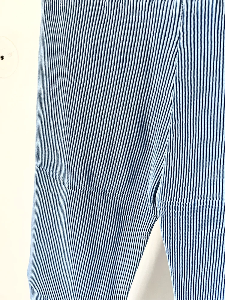 Pleated denim pants